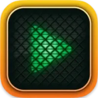 1fds.webp