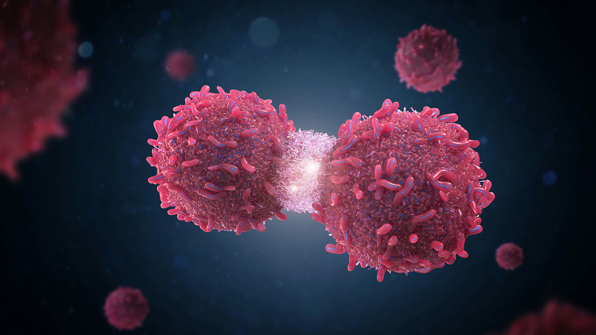 Issue31-TopStory3-NaturalImmuneResponseCancer-hero.jpg