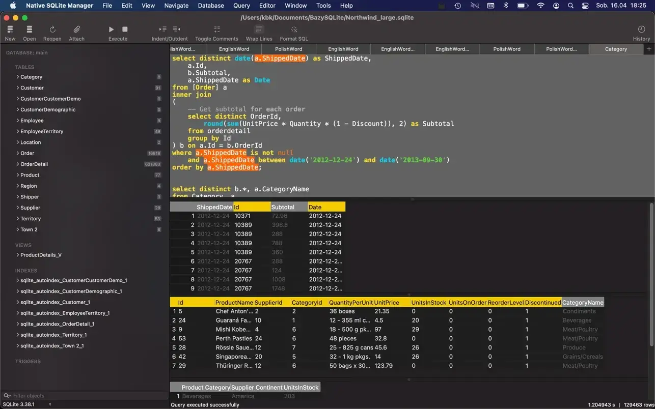 Native SQLite Manager v1.31 数据库管理工具