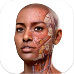 Complete Anatomy v11.5 人体解剖学软件