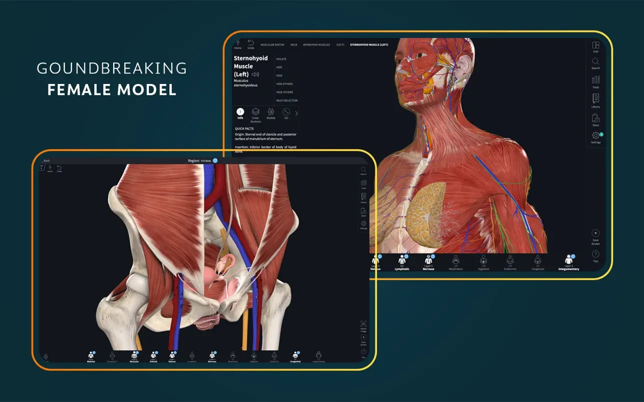 Complete Anatomy v11.5 人体解剖学软件