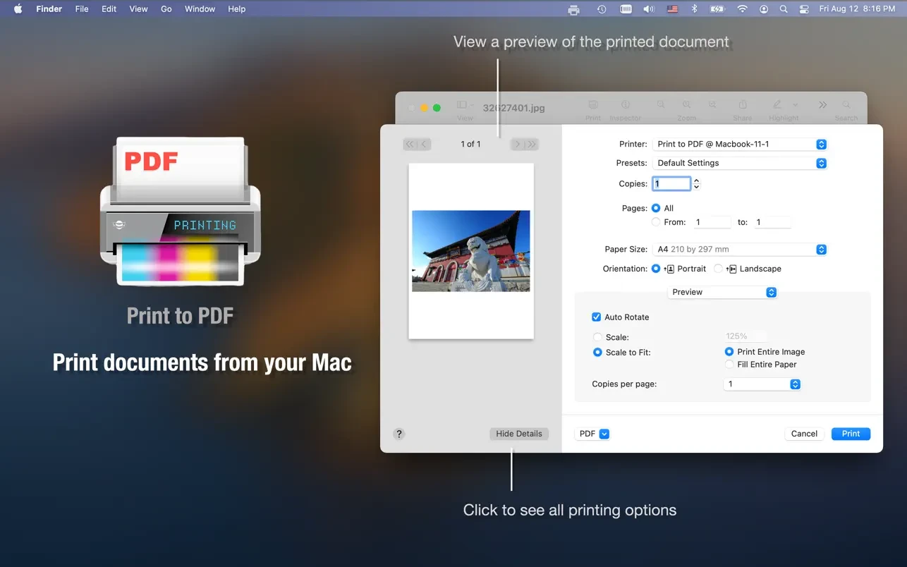 Print to PDF Pro v6.7.5 虚拟打印软件