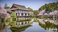 平安神宫,京都,花,池塘,4K风景壁纸 3840x2160